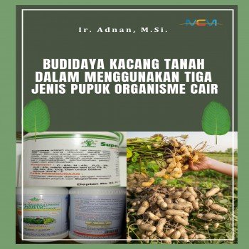 BUDIDAYA KACANG TANAH DALAM MENGGUNAKAN TIGA JENIS PUPUK ORGANISME CAIR
