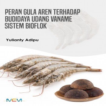 Peran gula aren terhadap budidaya udang vaname sistem bioflok